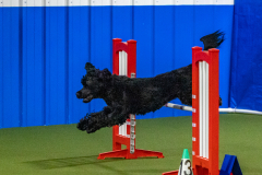 2023-Angie-Benacquisto-Pt-2-662