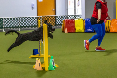 2023-Angie-Benacquisto-Pt-2-663