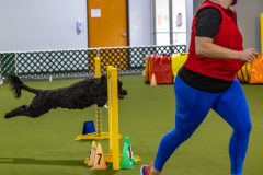 2023-Angie-Benacquisto-Pt-2-666