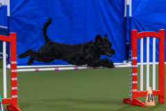 2023-Angie-Benacquisto-Pt-2-669