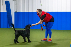 2023-Angie-Benacquisto-Pt-2-670