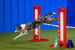 2023-Angie-Benacquisto-Pt-2-671