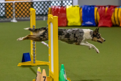 2023-Angie-Benacquisto-Pt-2-672