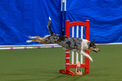 2023-Angie-Benacquisto-Pt-2-675