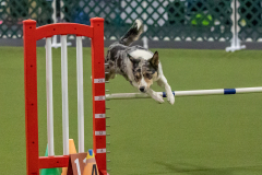 2023-Angie-Benacquisto-Pt-2-677