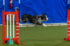 2023-Angie-Benacquisto-Pt-2-684