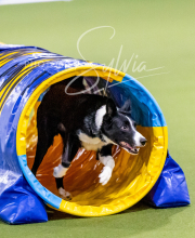 2024-12-14-Angie-Saturday-109