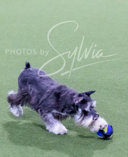 2024-12-14-Angie-Saturday-126