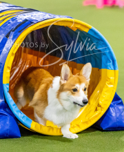 2024-12-14-Angie-Saturday-134