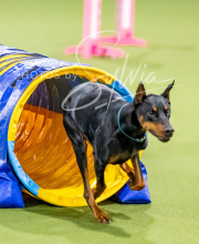 2024-12-14-Angie-Saturday-142