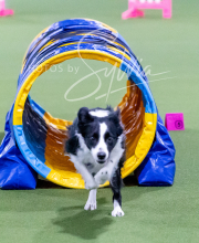 2024-12-14-Angie-Saturday-148