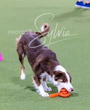 2024-12-14-Angie-Saturday-160