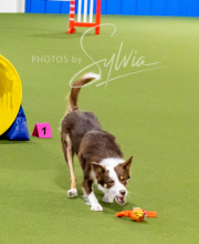 2024-12-14-Angie-Saturday-161