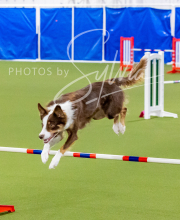 2024-12-14-Angie-Saturday-162