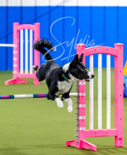 2024-12-14-Angie-Saturday-163