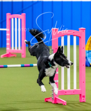 2024-12-14-Angie-Saturday-164