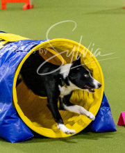 2024-12-14-Angie-Saturday-165