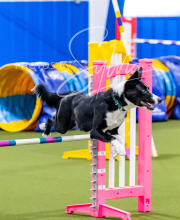 2024-12-14-Angie-Saturday-167