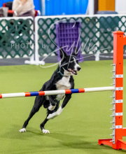 2024-12-14-Angie-Saturday-168