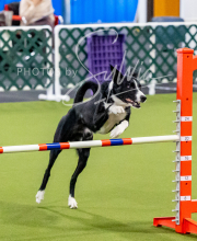 2024-12-14-Angie-Saturday-169