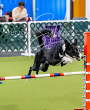 2024-12-14-Angie-Saturday-170