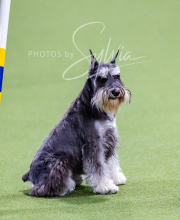 2024-12-14-Angie-Saturday-178