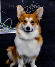 2024-12-14-Angie-Saturday-179