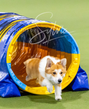 2024-12-14-Angie-Saturday-180