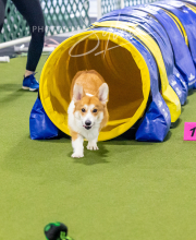 2024-12-14-Angie-Saturday-183