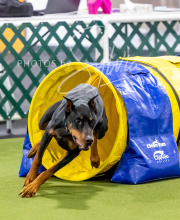 2024-12-14-Angie-Saturday-184