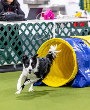 2024-12-14-Angie-Saturday-188