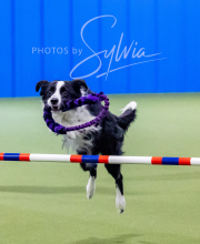 2024-12-14-Angie-Saturday-190