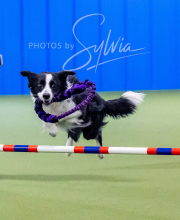 2024-12-14-Angie-Saturday-191