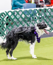 2024-12-14-Angie-Saturday-195