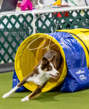 2024-12-14-Angie-Saturday-199