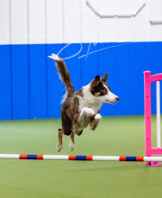 2024-12-14-Angie-Saturday-200