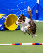 2024-12-14-Angie-Saturday-201