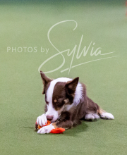 2024-12-14-Angie-Saturday-202