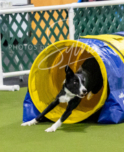 2024-12-14-Angie-Saturday-206