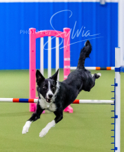 2024-12-14-Angie-Saturday-207