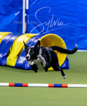 2024-12-14-Angie-Saturday-208