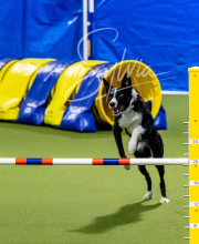 2024-12-14-Angie-Saturday-211