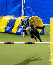 2024-12-14-Angie-Saturday-212