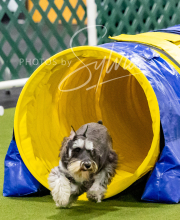 2024-12-14-Angie-Saturday-215