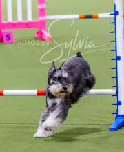 2024-12-14-Angie-Saturday-217