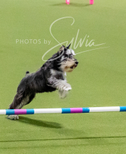 2024-12-14-Angie-Saturday-218