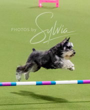 2024-12-14-Angie-Saturday-219