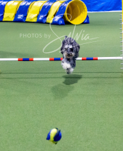 2024-12-14-Angie-Saturday-221