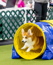 2024-12-14-Angie-Saturday-224