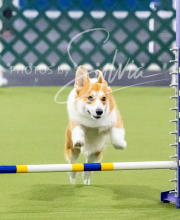 2024-12-14-Angie-Saturday-227